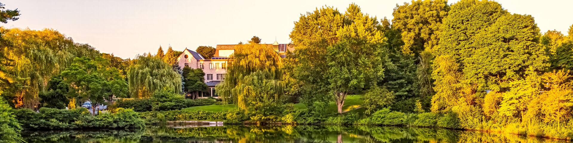 A calm lake with a weeping willow, a bird, and a house in the background.