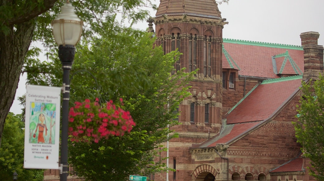 โวเบิร์น เนื้อเรื่องที่ ภาพท้องถนน