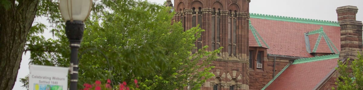 Woburn showing street scenes