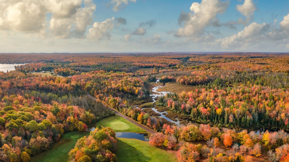 A river winding through a forest with autumn foliage.