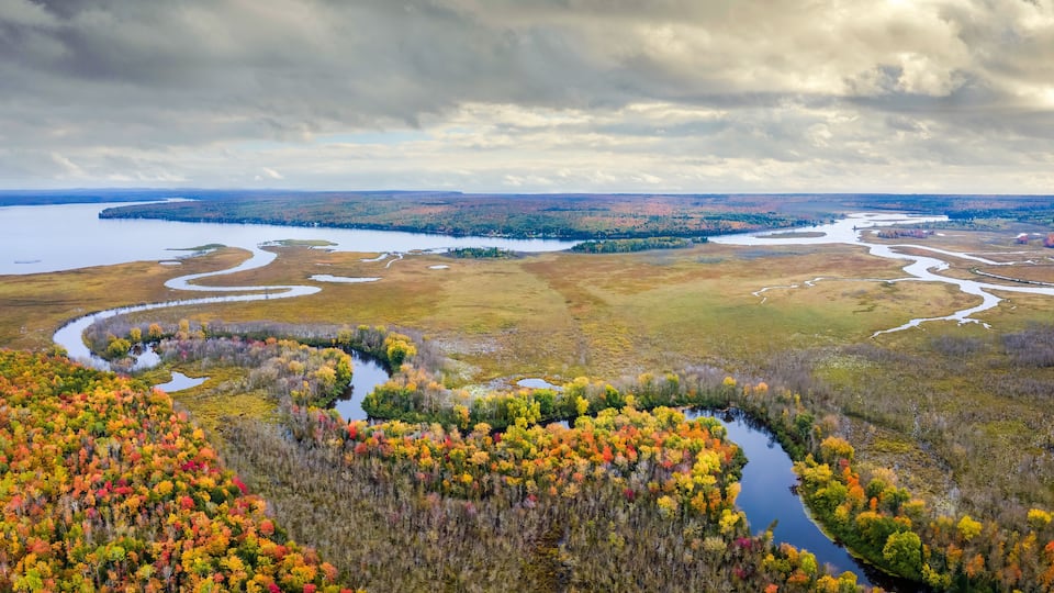 A river winding through a forest with autumn foliage.
