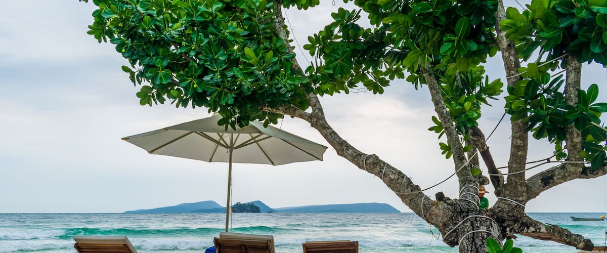 Una playa con sillas de madera y una sombrilla grande bajo un árbol.