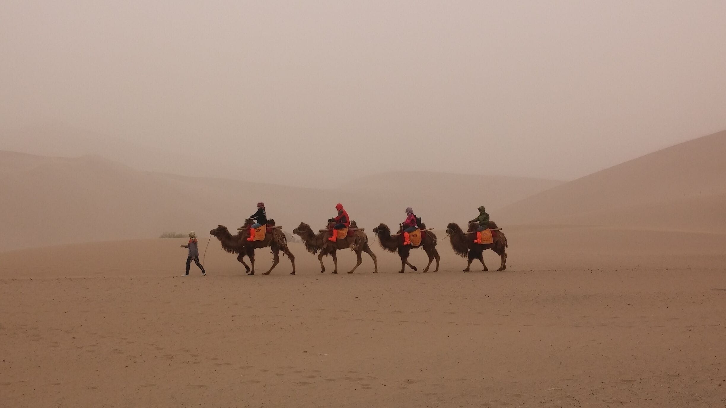Sand dunes, camel riding, and a sand storm.