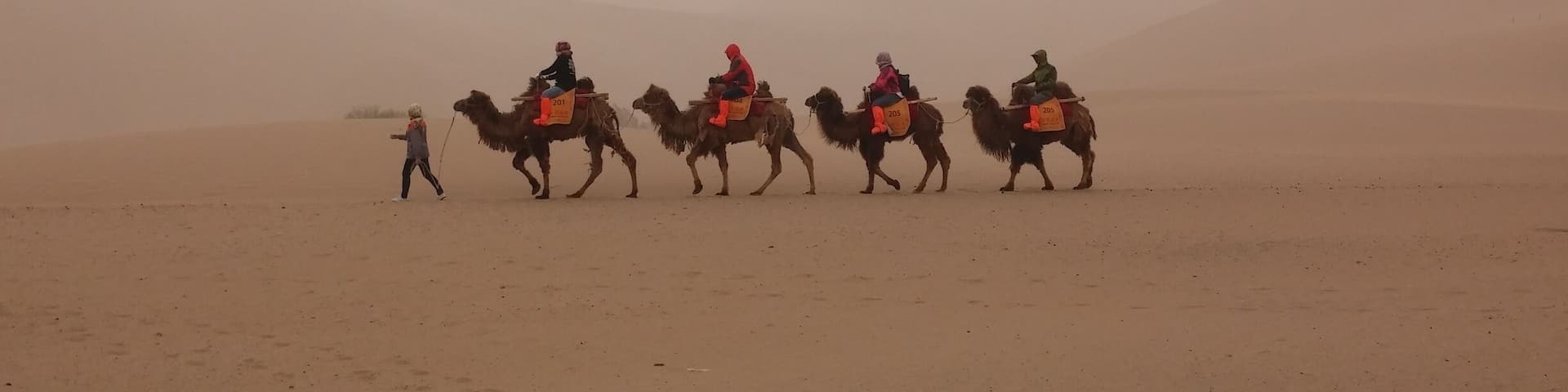 Sand dunes, camel riding, and a sand storm.