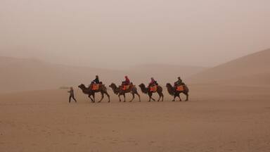 Un grupo de camellos con jinetes en un paisaje desértico.