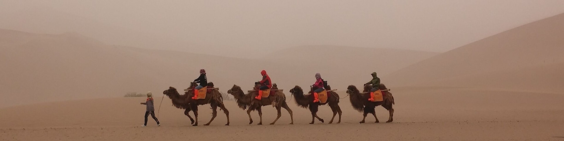 Sand dunes, camel riding, and a sand storm.