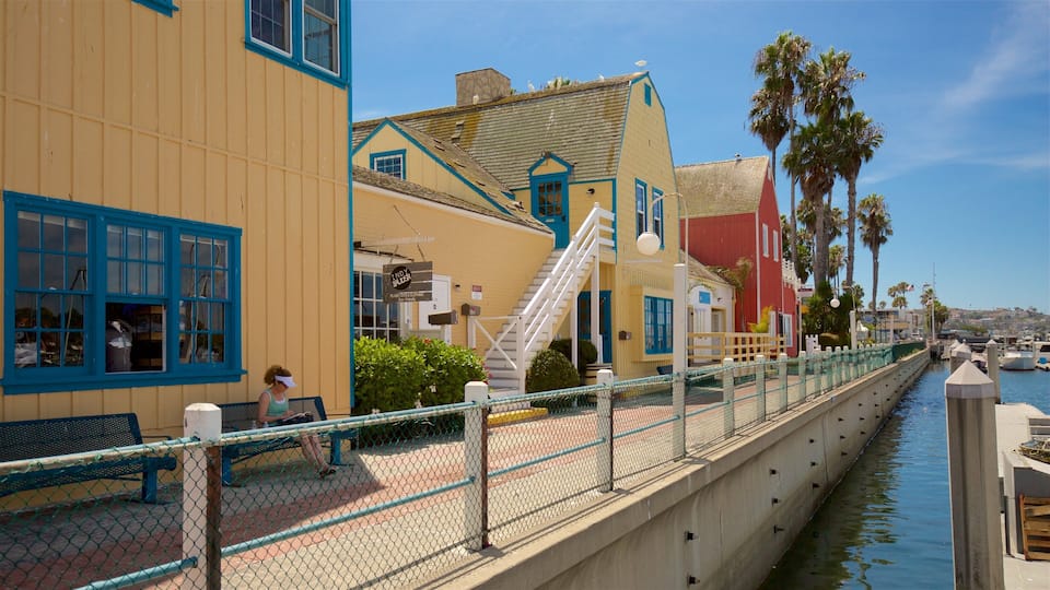 A coastal walkway with colorful buildings, a palm tree, and a canal.