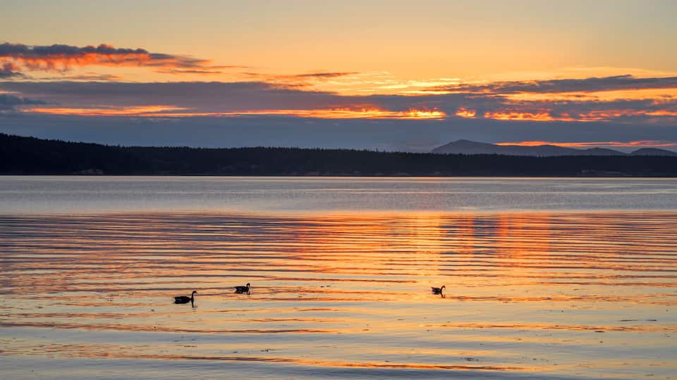 A calm lake at sunset with reflections of the sky, surrounded by a forested shoreline and distant mountains.