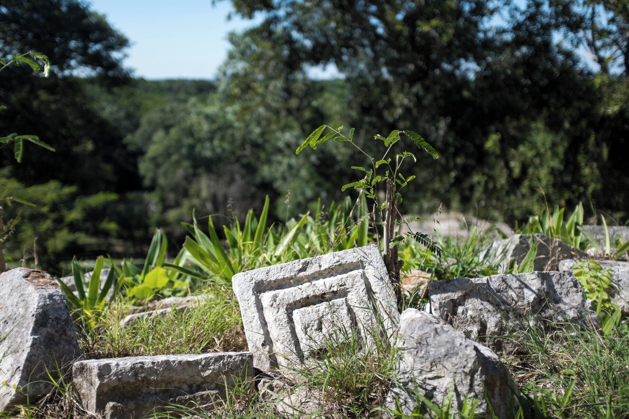 Legends of the hidden temple 🗿

Look closely at the Yucatán jungle or you might just miss it. Could it be a hill, a mound, something natural? Or maybe an ancient ruin bubbling up, long reclaimed by the green.

Exploring the Ruins at Uxmal felt special. The jungle uncurling it’s claws to reveal a once formidable temple.