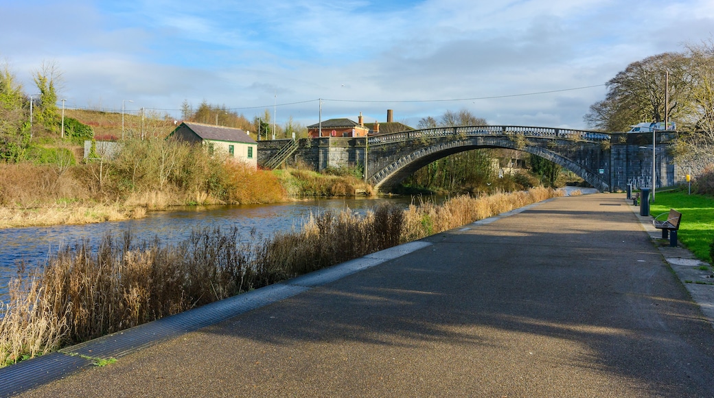 Lucan Bridge, built in 1814 spanning the River Liffey in Lucan in Dublin, Ireland.