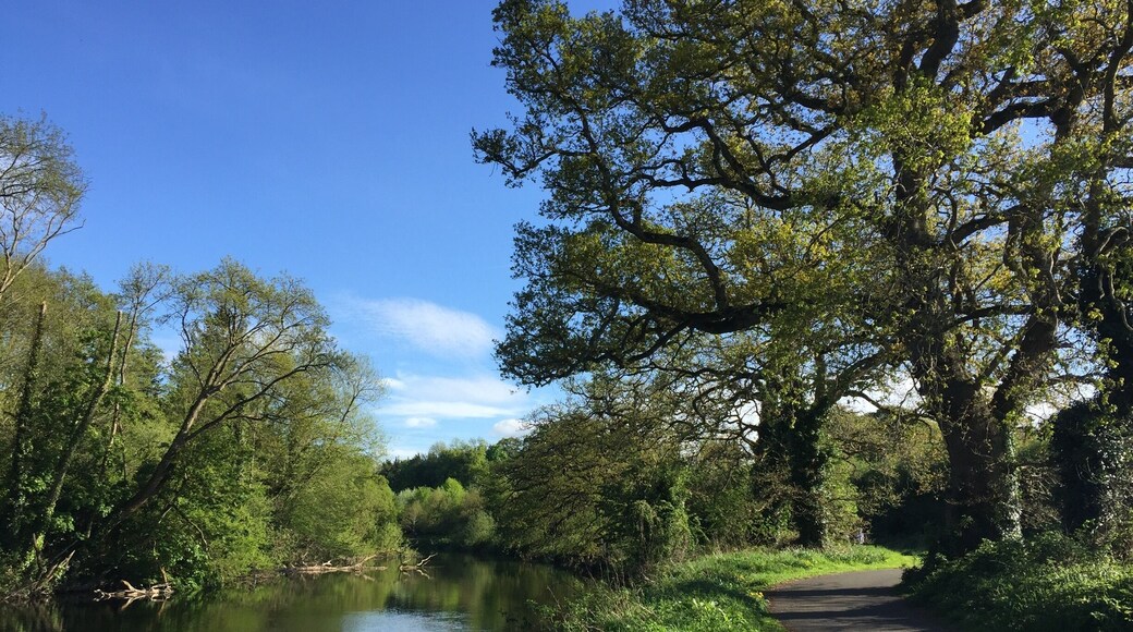 A very nice place. My favorite place in Dublin..