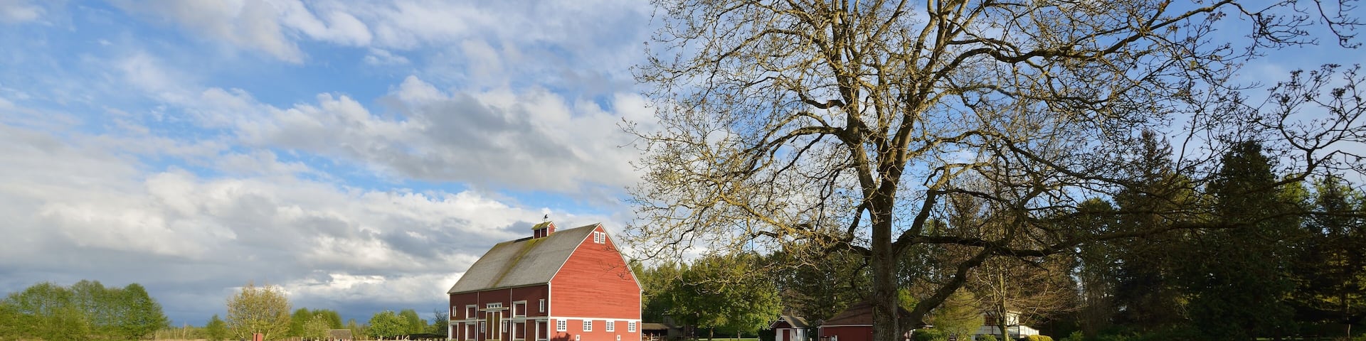 A red barn, a picnic table, and a tree in a grassy park.