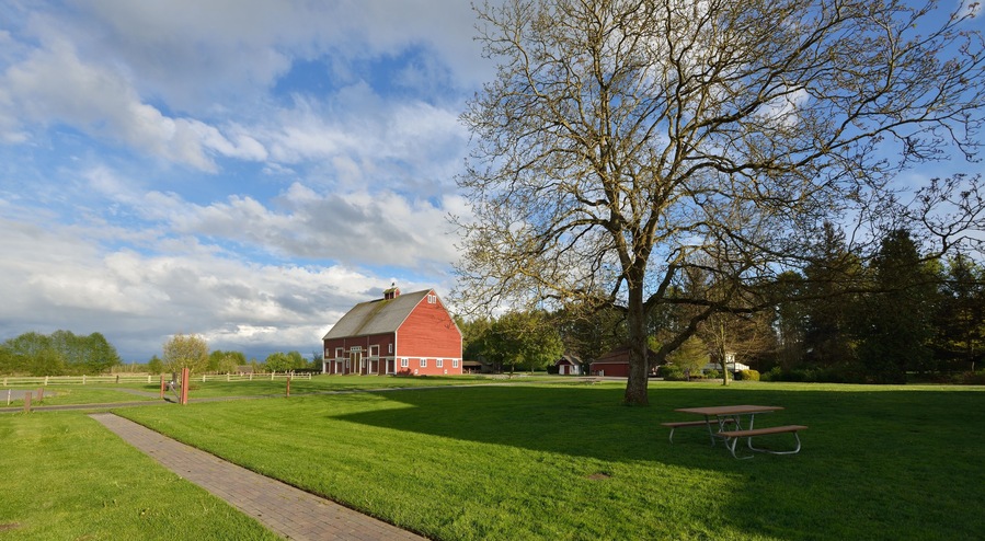 A red barn, a picnic table, and a tree in a grassy park.