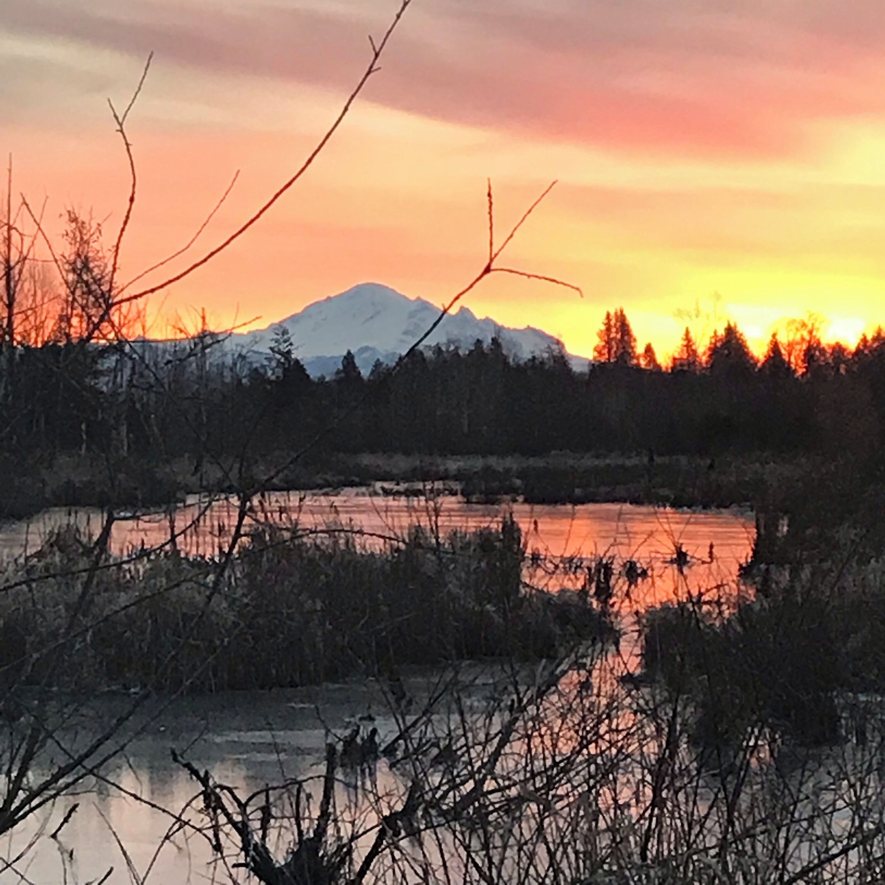 Early morning sunrise in PNW