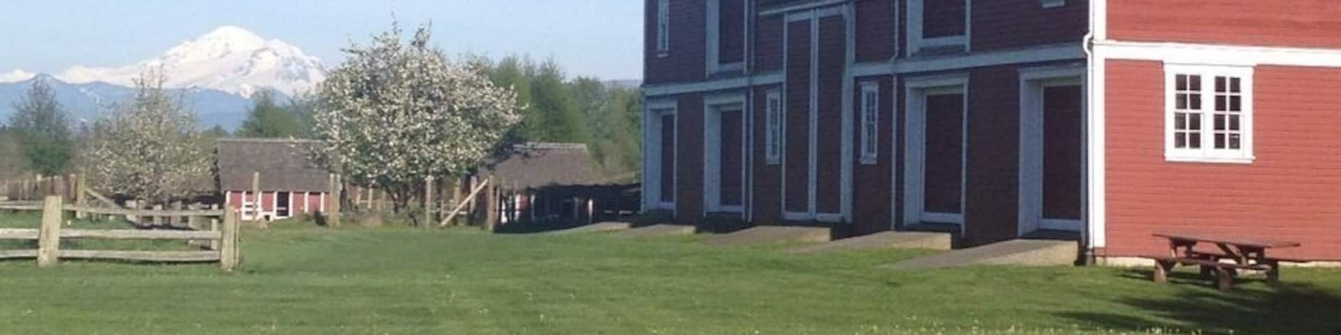 Beautiful views of Mt. Baker at Hovander Homestead Park in Ferndale, WA