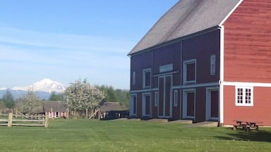 A red barn with a white door and windows, a green field, and a mountain in the background.