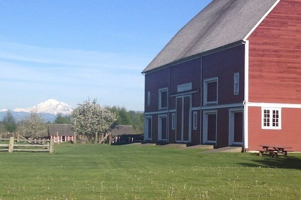Beautiful views of Mt. Baker at Hovander Homestead Park in Ferndale, WA