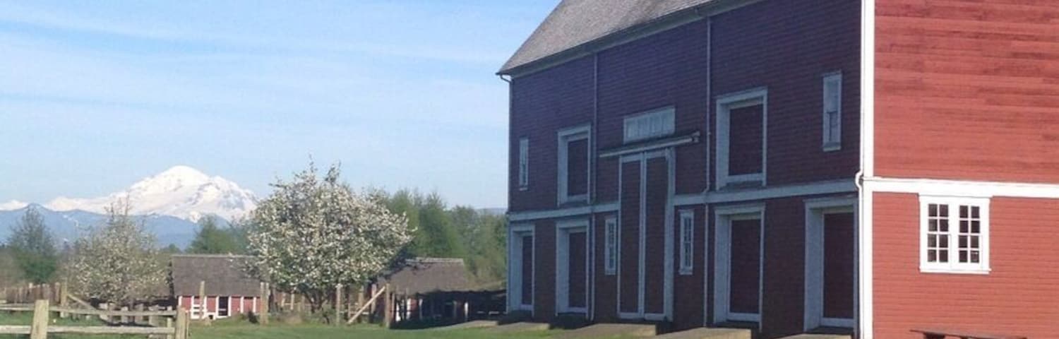 Beautiful views of Mt. Baker at Hovander Homestead Park in Ferndale, WA