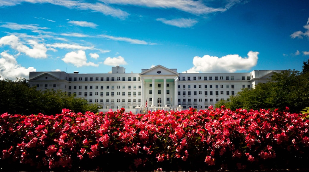 White Sulphur Springs