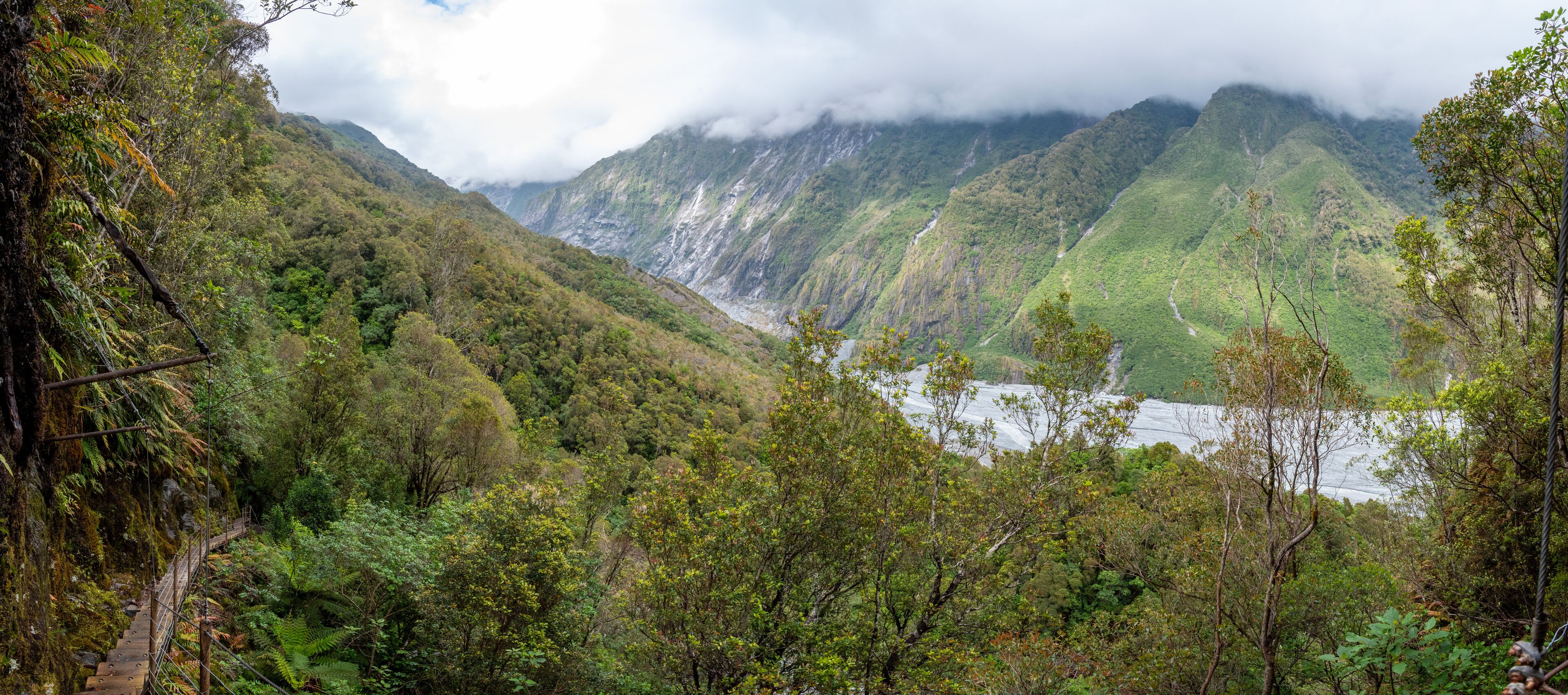 Narrow path of the Roberts Point Track, Franz Josef Glacier National Park