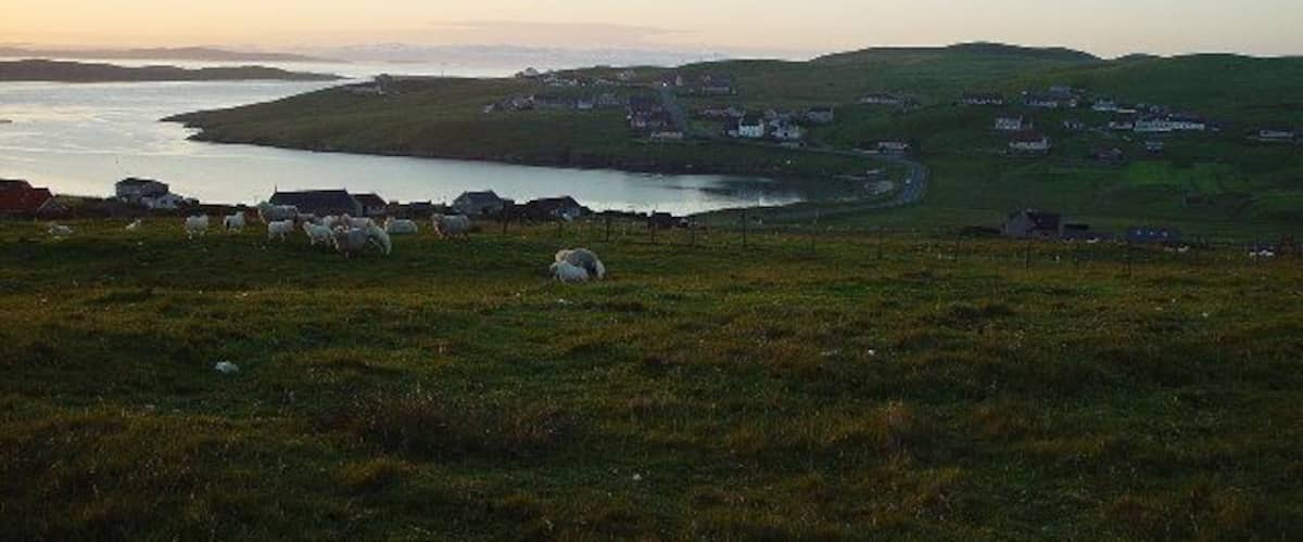 Saltness, North Park and West Hamister, Whalsay. Looking North from Gardentown past Saltness, over North Voe to North Park and West Hamister, Whalsay