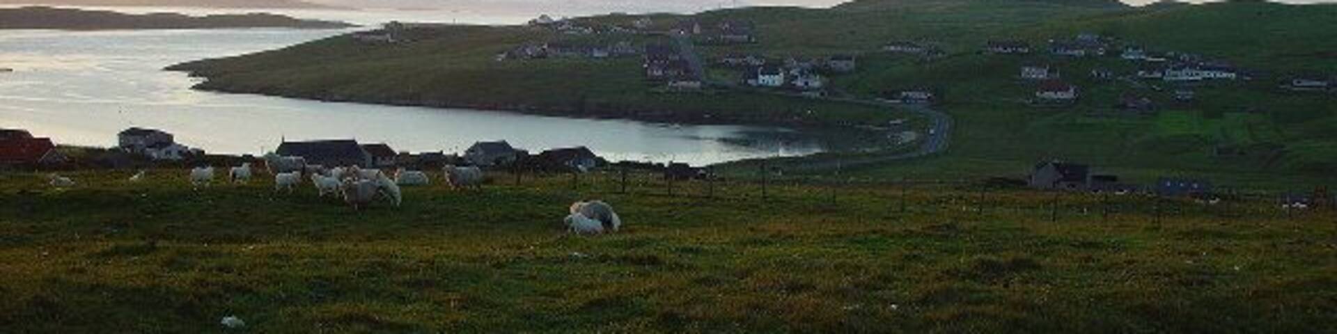 Saltness, North Park and West Hamister, Whalsay. Looking North from Gardentown past Saltness, over North Voe to North Park and West Hamister, Whalsay