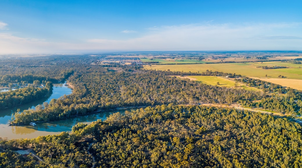 Murray River at sunset - aerial panorama
