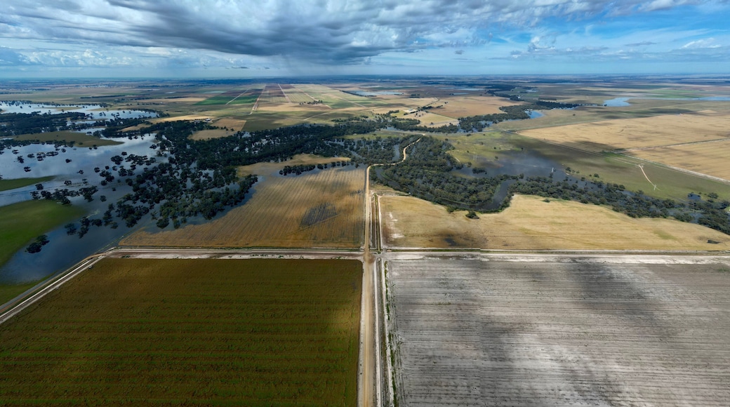Aerial view of the flood water around Deniliquin NSW in the Riverina