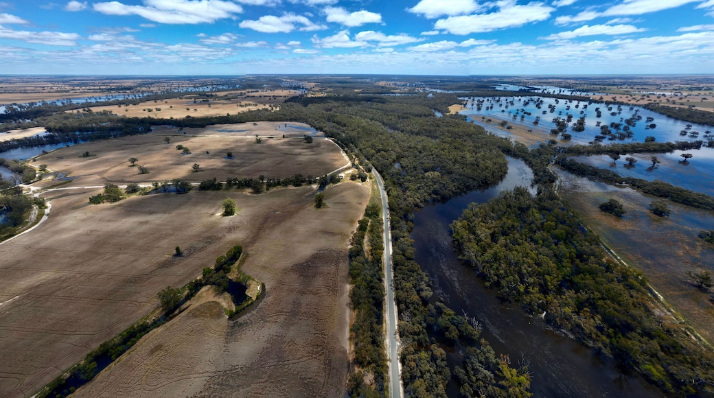 Aerial view of the flood water around Deniliquin NSW in the Riverina
