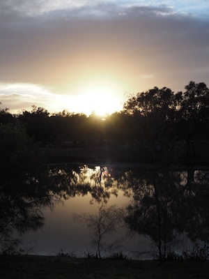 Gorgeous spot in Outback NSW. This was sunrise over the billabong.
 #BestOf5 #outbacknsw #australia #visitnsw