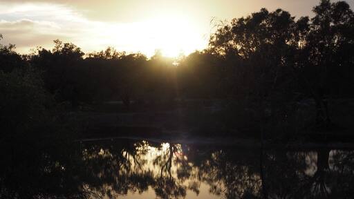 Gorgeous spot in Outback NSW. This was sunrise over the billabong.
#BestOf5 #outbacknsw #australia #visitnsw