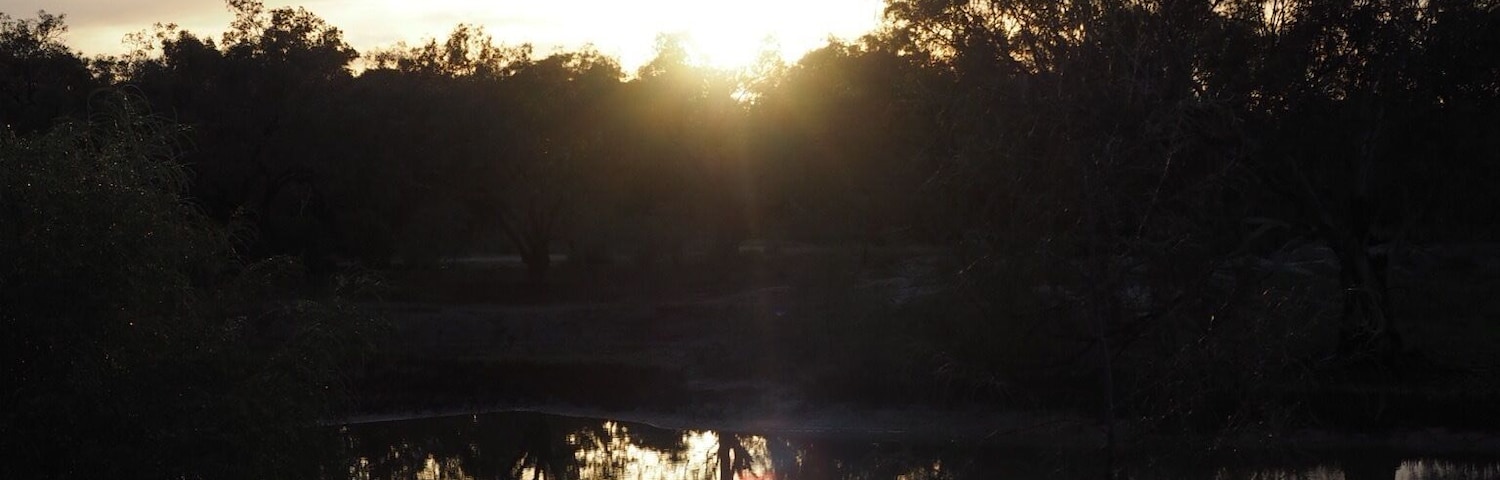 Gorgeous spot in Outback NSW. This was sunrise over the billabong.
 #BestOf5 #outbacknsw #australia #visitnsw