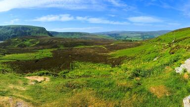 Panoramic view of Sally Gap in the picturesque valleys of Wicklow National Park, Ireland