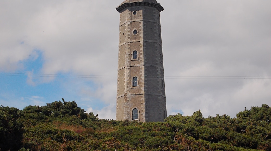 The pin is the approximate location