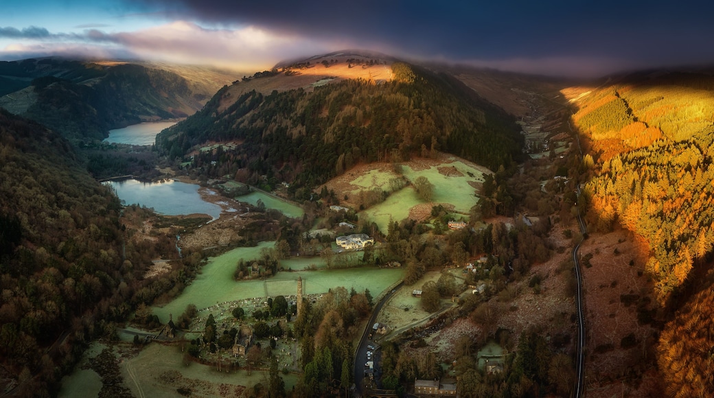 วิกโลว์