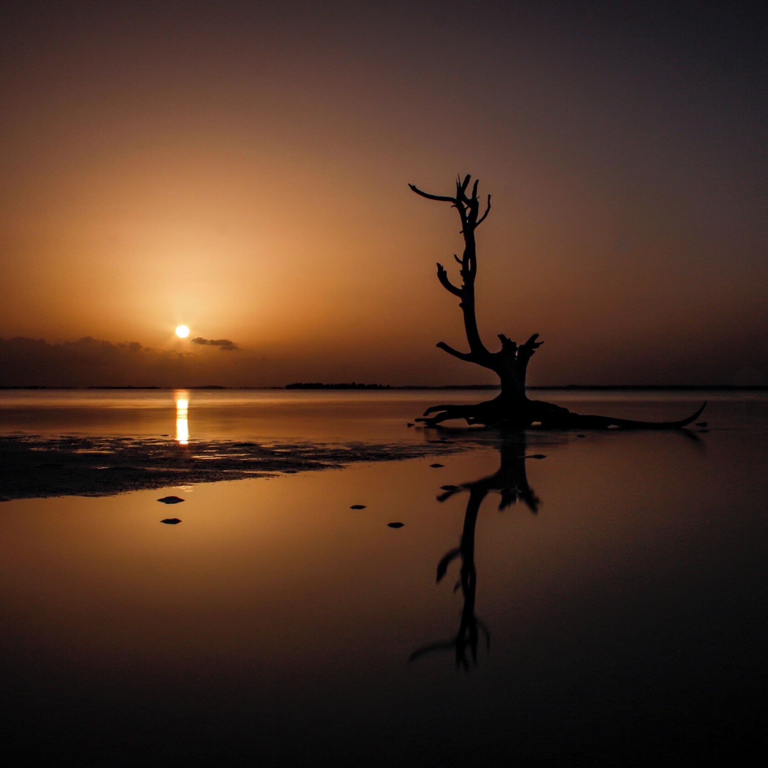 The Lone Tree near Dunmore Town on Harbour Island is a stunning piece of drift wood.  Speaking to the locals, I learnt it might have been an almond tree.
This shot was taken a few years back, with my first DSLR.  I was shooting JPEG back then, and I wish I could do this again with an improved technique and better kit to capture more detail and less noise.