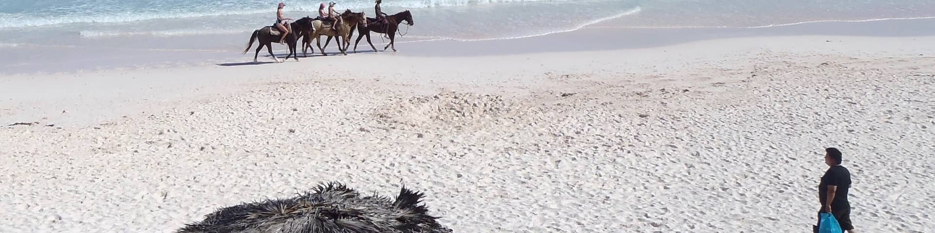Gorgeous pink beach at Coral Sands