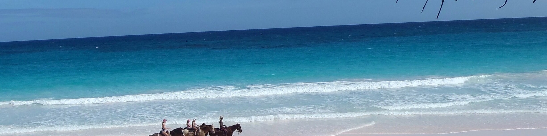 Gorgeous pink beach at Coral Sands