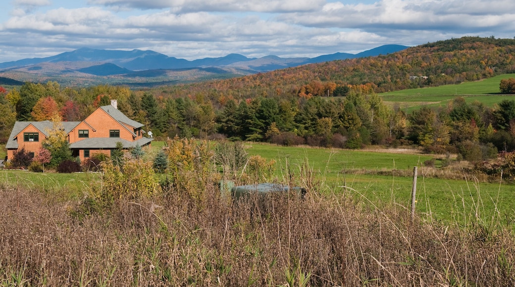 Autumn colors in New England, Williston, Vermont