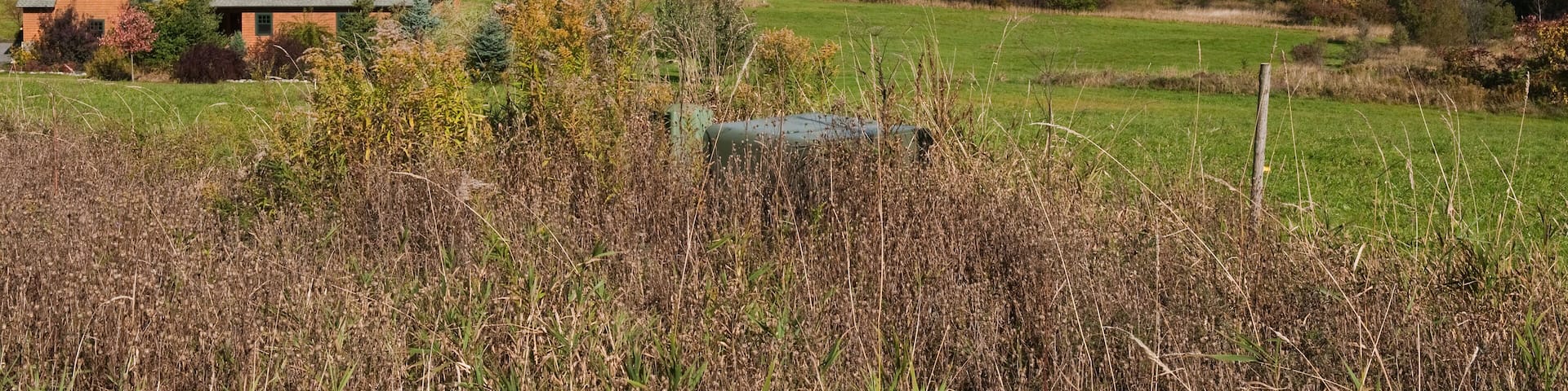 Autumn colors in New England, Williston, Vermont