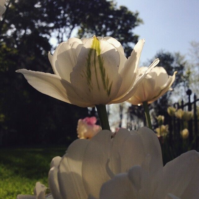 #Vermont  #goldenhour