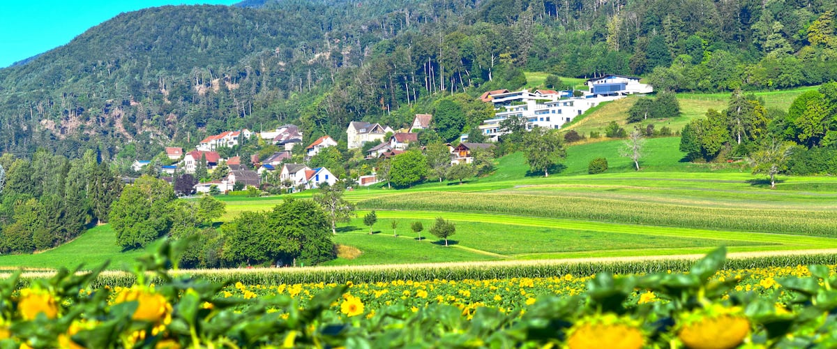 A rural landscape with a village nestled in the valley, surrounded by green fields and a forested hill.