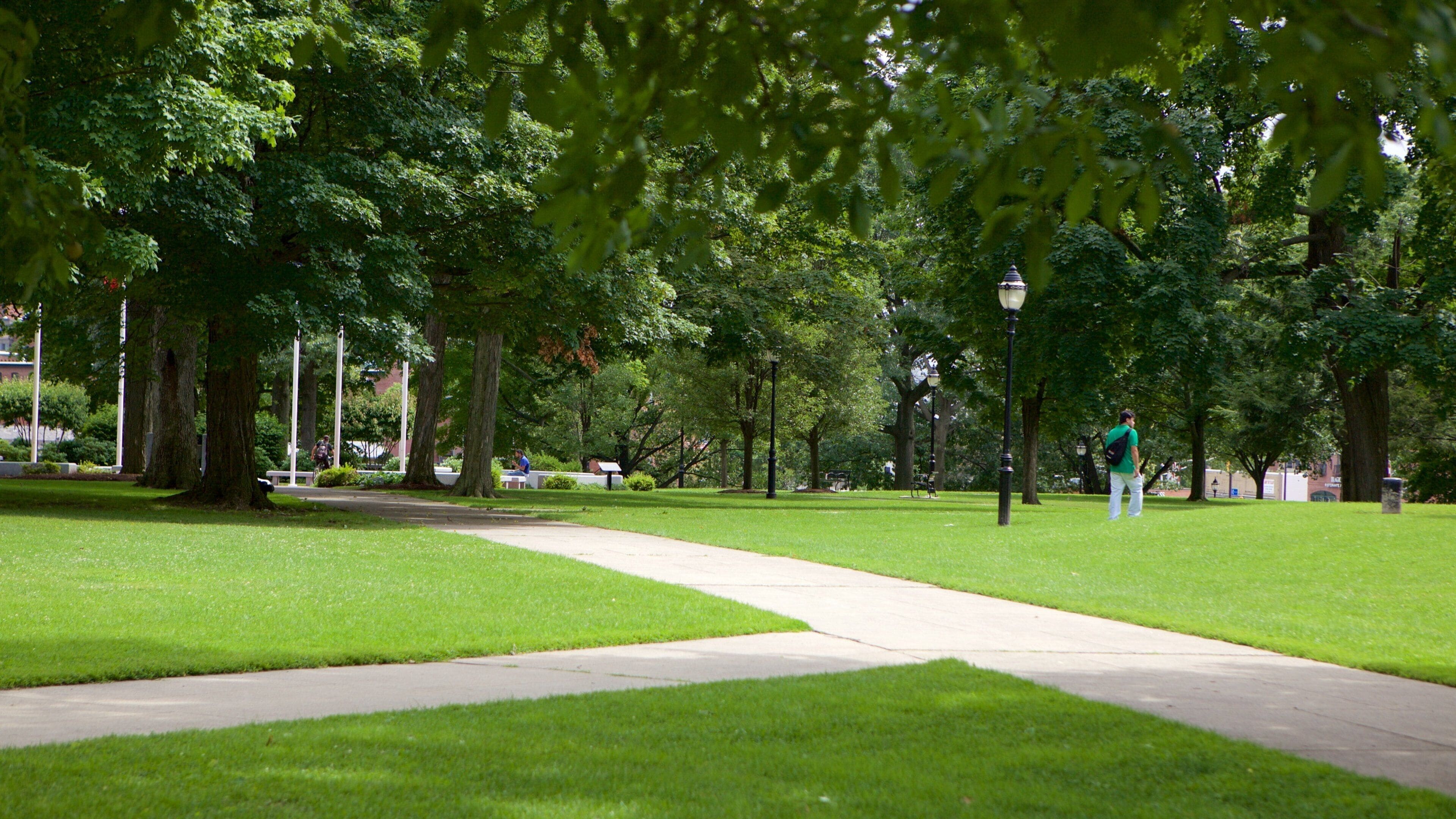 Waltham which includes a garden