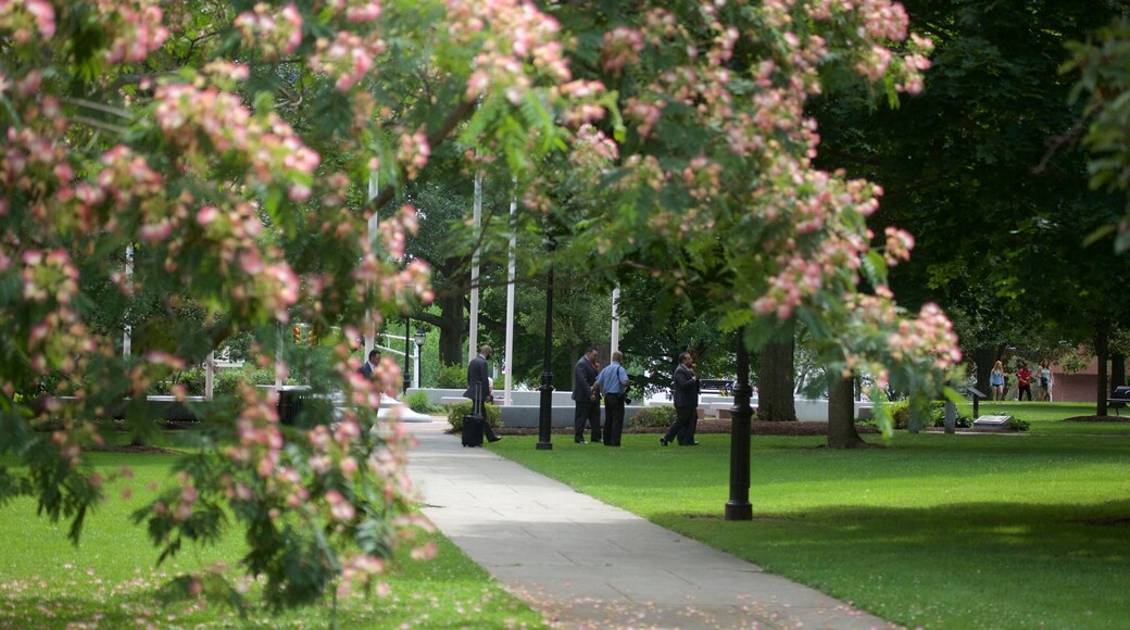 Waltham featuring a garden
