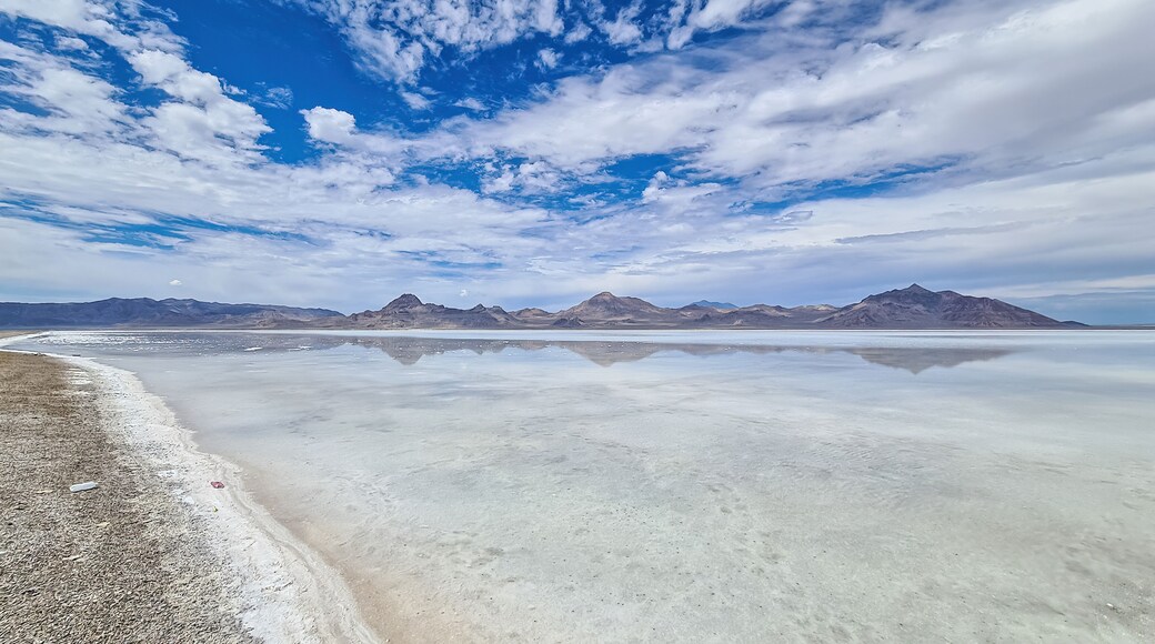 ويست ويندوفر