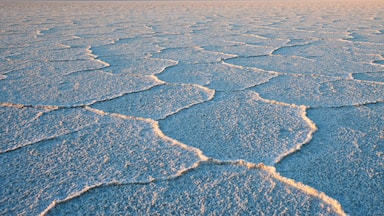 A vast salt flat with hexagonal patterns and distant mountains under a clear sky.