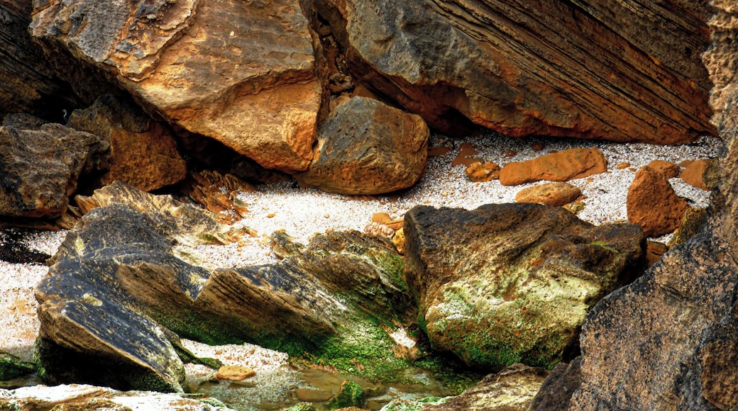 #rocks
#shells
#beach
#australia
#victoria