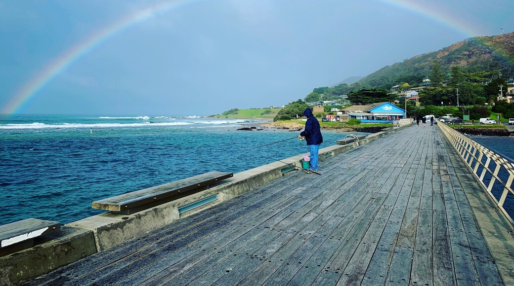 Walking to the end of the pier, I turn to look back.. behold ..