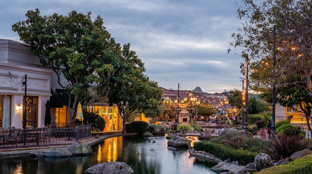 An Evening at Blackhawk Plaza