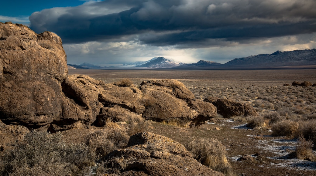 Winnemucca Lake (dry) and Mt Limbo